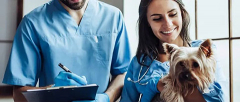 Pursuing a Veterinary Major A Path to Fulfillment and Service